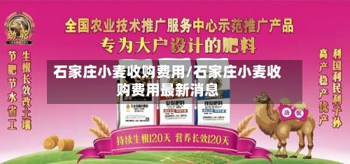 石家庄小麦收购费用/石家庄小麦收购费用最新消息