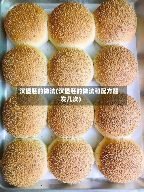 汉堡胚的做法(汉堡胚的做法和配方醒发几次)