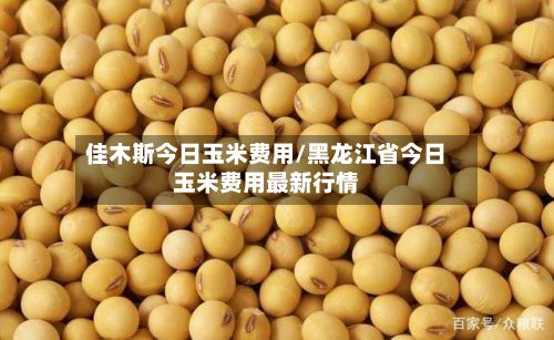 佳木斯今日玉米费用/黑龙江省今日玉米费用最新行情-第2张图片