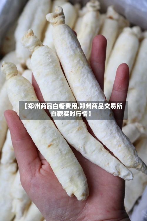 【郑州商品白糖费用,郑州商品交易所白糖实时行情】-第2张图片