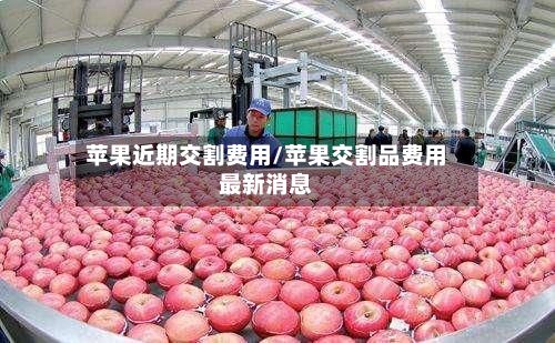 苹果近期交割费用/苹果交割品费用最新消息
