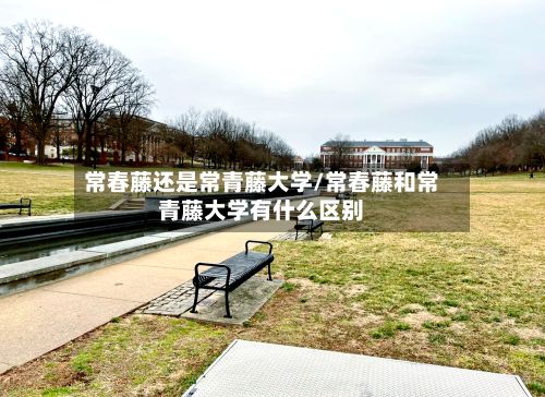 常春藤还是常青藤大学/常春藤和常青藤大学有什么区别