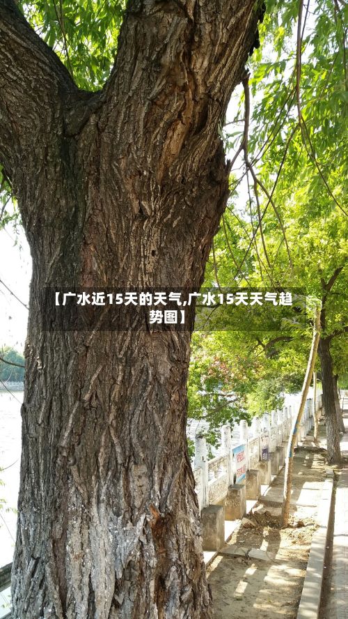 【广水近15天的天气,广水15天天气趋势图】