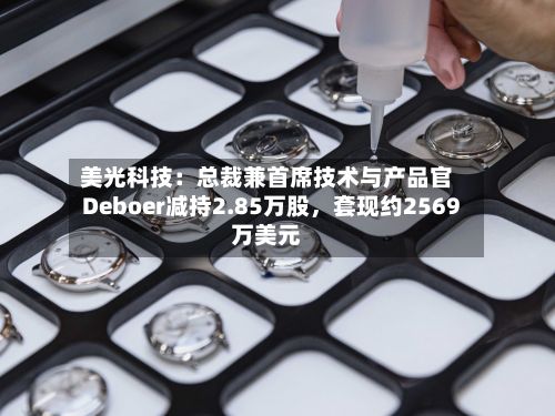 美光科技：总裁兼首席技术与产品官Deboer减持2.85万股	，套现约2569万美元-第2张图片