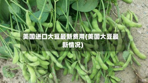 美国进口大豆最新费用(美国大豆最新情况)