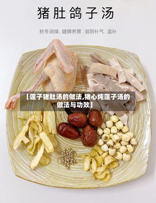 【莲子猪肚汤的做法,猪心炖莲子汤的做法与功效】-第2张图片