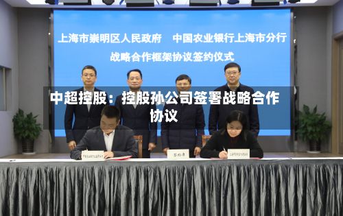 中超控股：控股孙公司签署战略合作协议-第2张图片