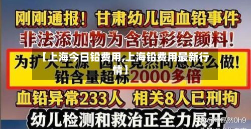 【上海今日铅费用,上海铅费用最新行情】