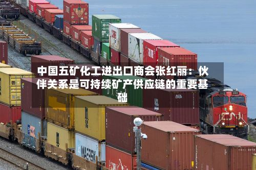 中国五矿化工进出口商会张红丽：伙伴关系是可持续矿产供应链的重要基础