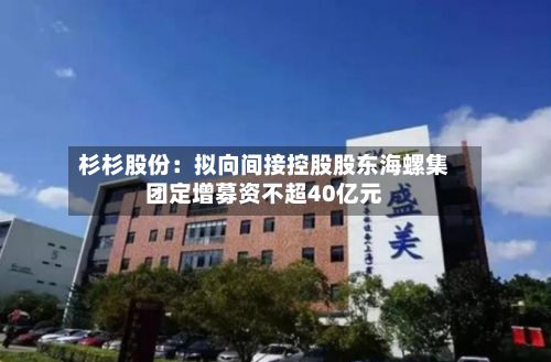 杉杉股份：拟向间接控股股东海螺集团定增募资不超40亿元-第1张图片