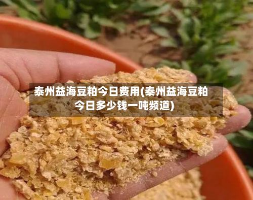 泰州益海豆粕今日费用(泰州益海豆粕今日多少钱一吨频道)