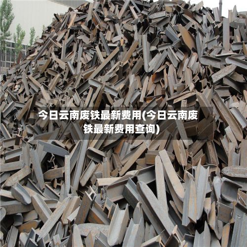 今日云南废铁最新费用(今日云南废铁最新费用查询)