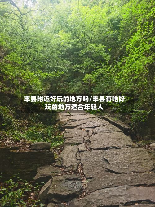 丰县附近好玩的地方吗/丰县有啥好玩的地方适合年轻人