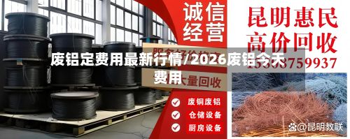 废铝定费用最新行情/2026废铝今天费用-第2张图片