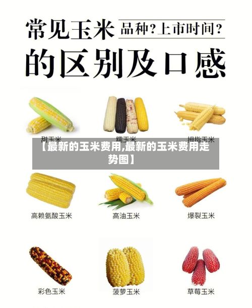 【最新的玉米费用,最新的玉米费用走势图】