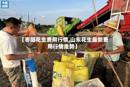 【枣阳花生费用行情,山东花生最新费用行情走势】