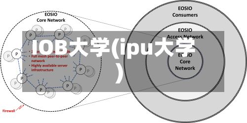 IOB大学(ipu大学)-第2张图片