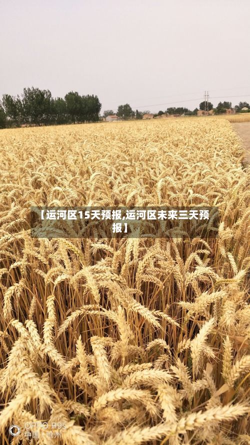 【运河区15天预报,运河区未来三天预报】-第2张图片