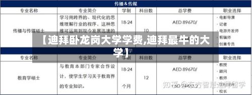 【迪拜卧龙岗大学学费,迪拜最牛的大学】-第3张图片