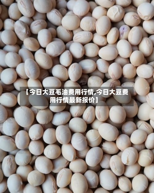 【今日大豆毛油费用行情,今日大豆费用行情最新报价】