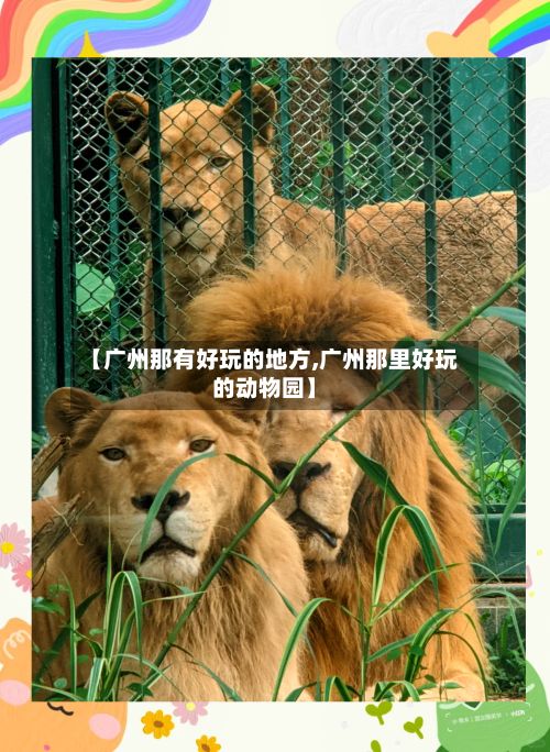 【广州那有好玩的地方,广州那里好玩的动物园】-第2张图片