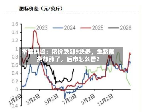 华泰期货：猪价跌到9块多，生猪期货却涨了，后市怎么看？-第1张图片