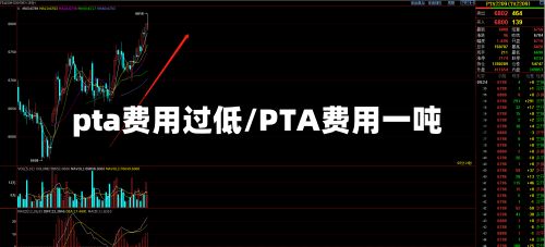 pta费用过低/PTA费用一吨
