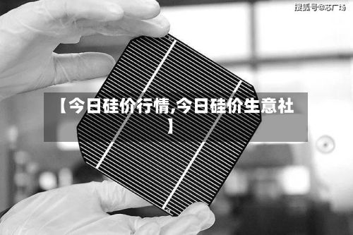 【今日硅价行情,今日硅价生意社】-第2张图片