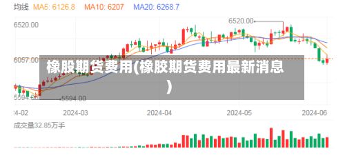 橡股期货费用(橡胶期货费用最新消息)-第2张图片