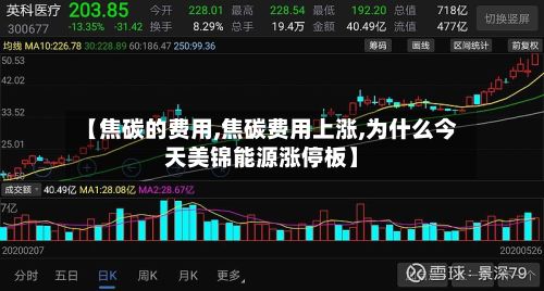 【焦碳的费用,焦碳费用上涨,为什么今天美锦能源涨停板】-第2张图片