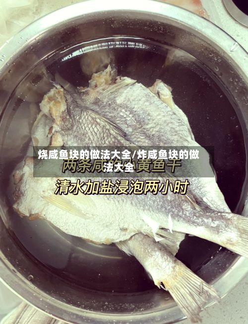 烧咸鱼块的做法大全/炸咸鱼块的做法大全-第3张图片