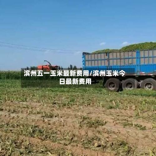 滨州五一玉米最新费用/滨州玉米今日最新费用