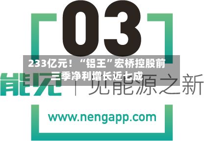 233亿元！“铝王	”宏桥控股前三季净利增长近七成-第1张图片