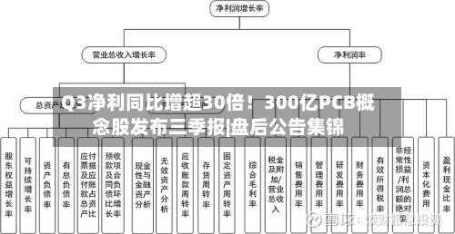 Q3净利同比增超30倍!300亿PCB概念股发布三季报|盘后公告集锦-第1张图片