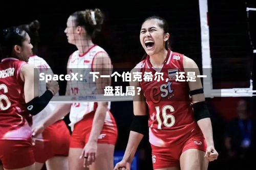 SpaceX：下一个伯克希尔，还是一盘乱局？-第2张图片