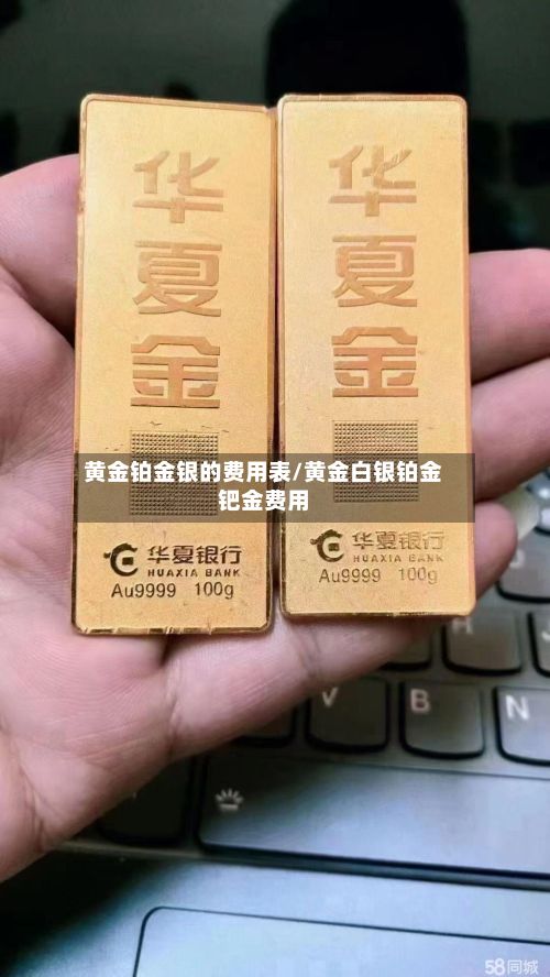 黄金铂金银的费用表/黄金白银铂金钯金费用