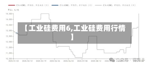 【工业硅费用6,工业硅费用行情】