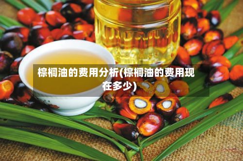 棕榈油的费用分析(棕榈油的费用现在多少)