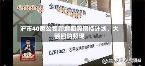 沪市40家公司新增回购增持计划，大额回购频现-第2张图片
