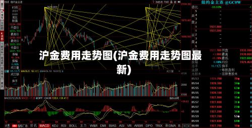 沪金费用走势图(沪金费用走势图最新)