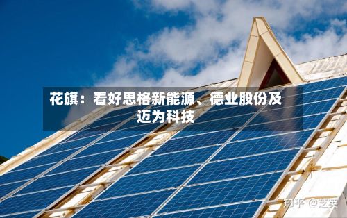 花旗：看好思格新能源、德业股份及迈为科技-第2张图片