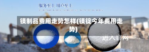 镁制品费用走势怎样(镁锭今年费用走势)-第2张图片