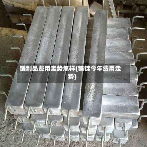 镁制品费用走势怎样(镁锭今年费用走势)