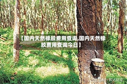【国内天然橡胶费用查询,国内天然橡胶费用查询今日】-第2张图片