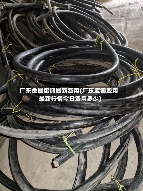 广东金属废铜最新费用(广东废铜费用最新行情今日费用多少)