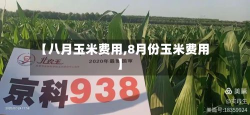 【八月玉米费用,8月份玉米费用】-第2张图片