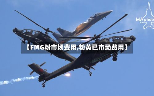 【FMG粉市场费用,粉黄已市场费用】-第3张图片