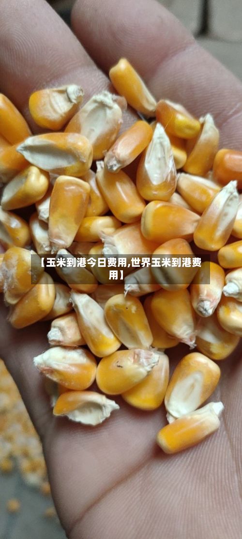 【玉米到港今日费用,世界玉米到港费用】