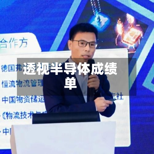 透视半导体成绩单-第2张图片