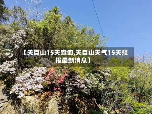 【天目山15天查询,天目山天气15天预报最新消息】